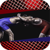 ir.tinasoft.wrestlingArts