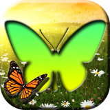 com.ButterflyPhotoFramesnn