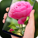 com.az.pinkrose.livewallpaper.freeapp