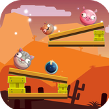 com.sugarsugar.physicspuzzle