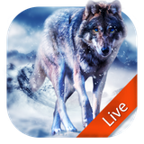 mobi.infolife.ezweather.livewallpaper.icewolf