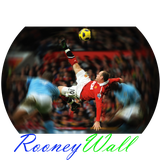 com.safecomp.rooneywall