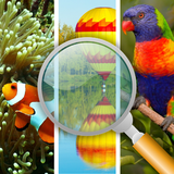 com.fgcos.word_search_words_in_pics