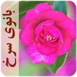 com.imnet.banoyesorkh