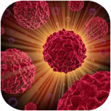 mosbat.blokkonandehaykanalekalsiom