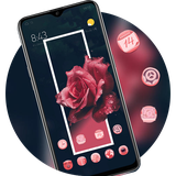 theme.flower.plant.rose.gorgeous.blossom.red.roes.launcher.wallpaper