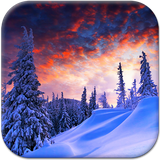 com.WinterNatureLiveWallpaperApp