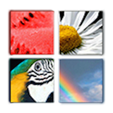 ir.programmingco.closeup