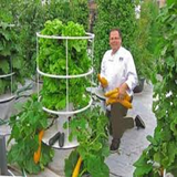 ir.toled.va.parvaresh.anvae.sabze.d1