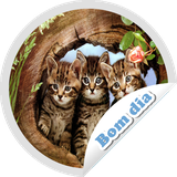 com.appscroy.figurinhasdebomdia