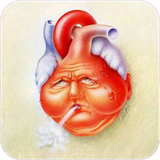 bomb.naresaeeieghalbi