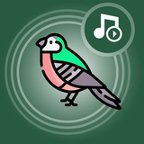 com.ingenioxapps.sonneriesoiseaux