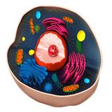 com.springers.zist12