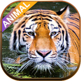 com.promakers.animalsnd