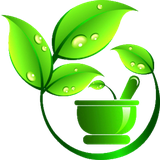 ir.omidyousefi.apps.plants.books