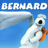 bahar.ahmadi.ali.p.bernard