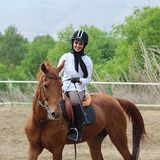 ir.savarkare.ghadam.be.ghadam.d