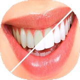 com.mnz_t.sefiddandan