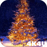 com.lwp4k4u.tree