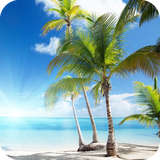 com.palmspringswallpaper.wallpaper.hdwallpaper