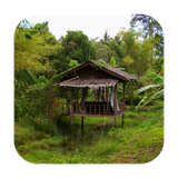 ir.appwork.livewalltabiat