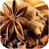 shafagh.tamdahandeha