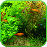 realaquarium3dwallpaper.ezz.com