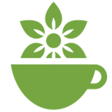 com.AsiaChayHaVaDamnooshHa