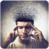 net.berke.app.ravanshenas.kb