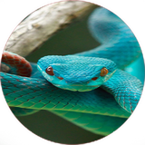 com.khorshid_ht.marsame