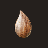 air.com.GalMamalya.Mitoza