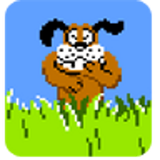 ir.blog.arvant.duckhunter