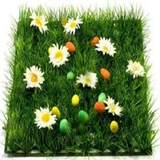 ir.kashte.sheke.sabze.eyd.d3