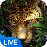 live.wallpaper.t910001175