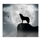 com.sefrtasad.animal