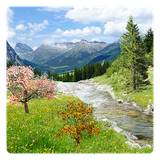 de.toar.livewallpaper.rivulet.free