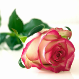 de.bz.android.liebes3