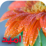 com.keyroman.omidtapad