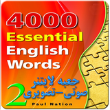 zh.snowman.sm_4000_b2