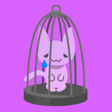 air.jp.rash.mac.a008