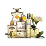 adkolon.wwwwwwwwwwwwww