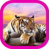 com.appcreater.animwalls1