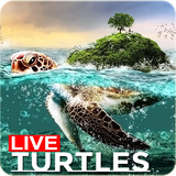 com.turtlelivewallpaperripple