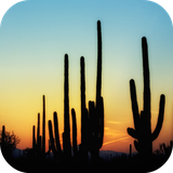 com.leafgreen.cactus