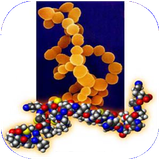 zabol.pezeshkivafanavariezisti