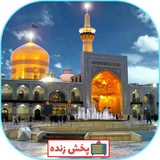 com.devlapp.imamreza