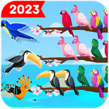 kgamenew.birdssort.birdcolor.puzzibirds.com