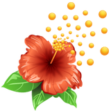 ir.r.d.pa.ma.gol.giah