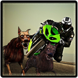 com.zgozutoksoft.zombiehighwaymotorcyclesdriver