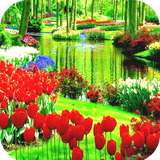 com.Garden.wallpaper.flowerwallpaper.flowergarden.forestwallpaper
